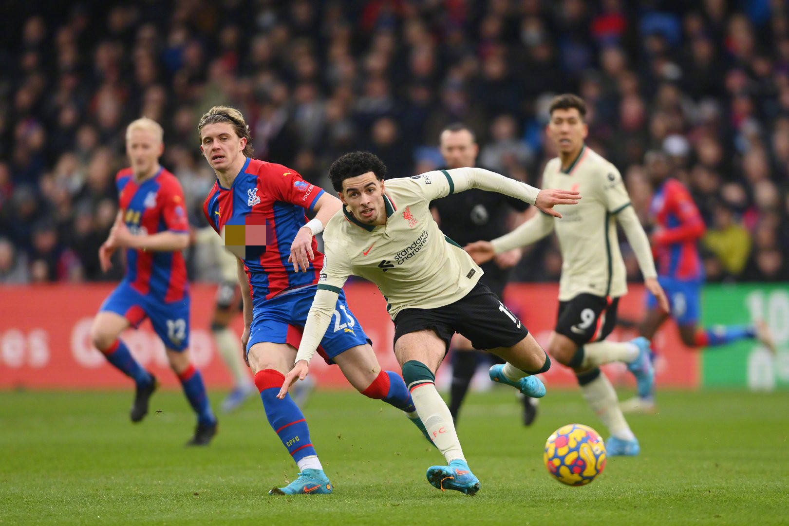 所在的球隊 所在的球隊