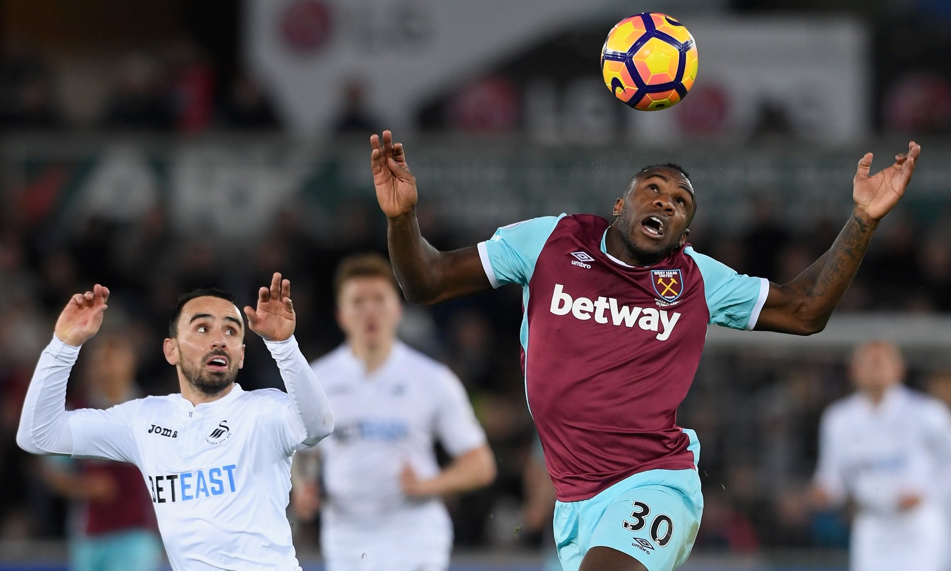 文化与历史 文化与历史